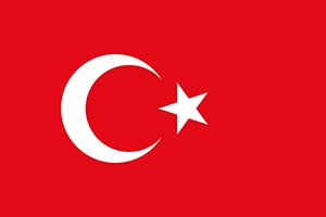 Türk dili