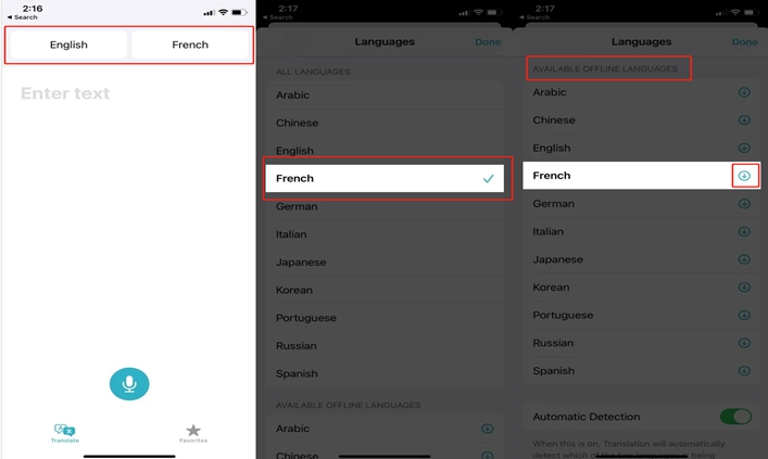 Download Languages for Offline Translation