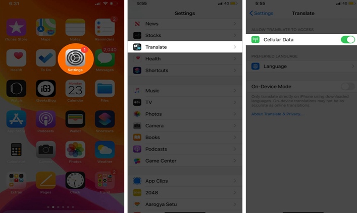 Enable iOS 14’s Translate App to Access Cellular Data