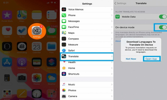 Enable On-device Mode of iOS 14 Translate App