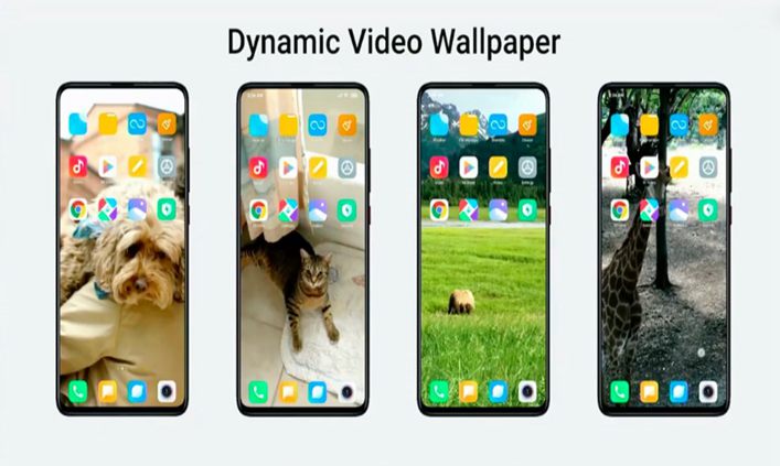 Live Video Wallpapers